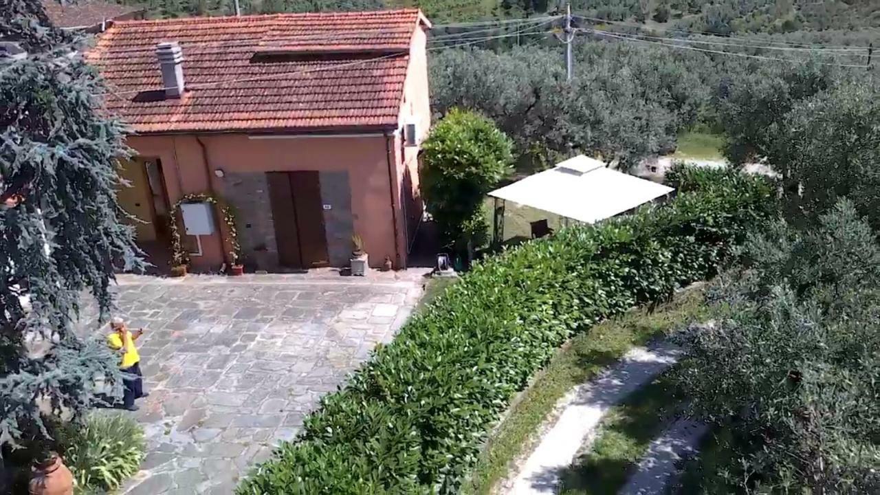 Апартаменти Il Borgo Dei Pini Вінчі Екстер'єр фото