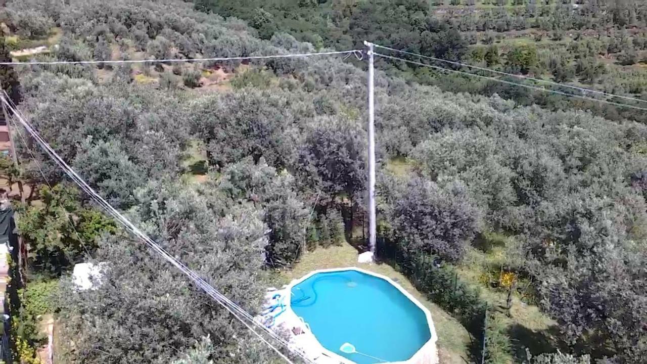 Апартаменти Il Borgo Dei Pini Вінчі Екстер'єр фото