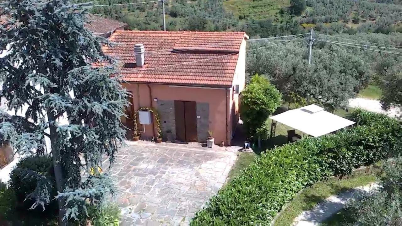Апартаменти Il Borgo Dei Pini Вінчі Екстер'єр фото